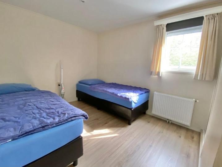 'T Groentje Baarland Extérieur photo