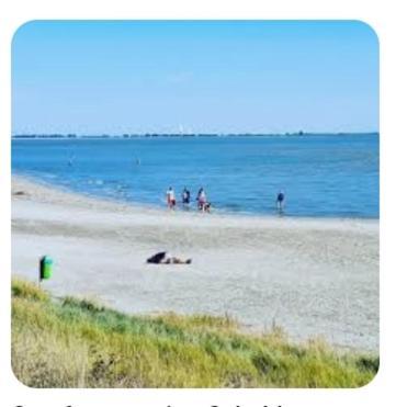 'T Groentje Baarland Extérieur photo